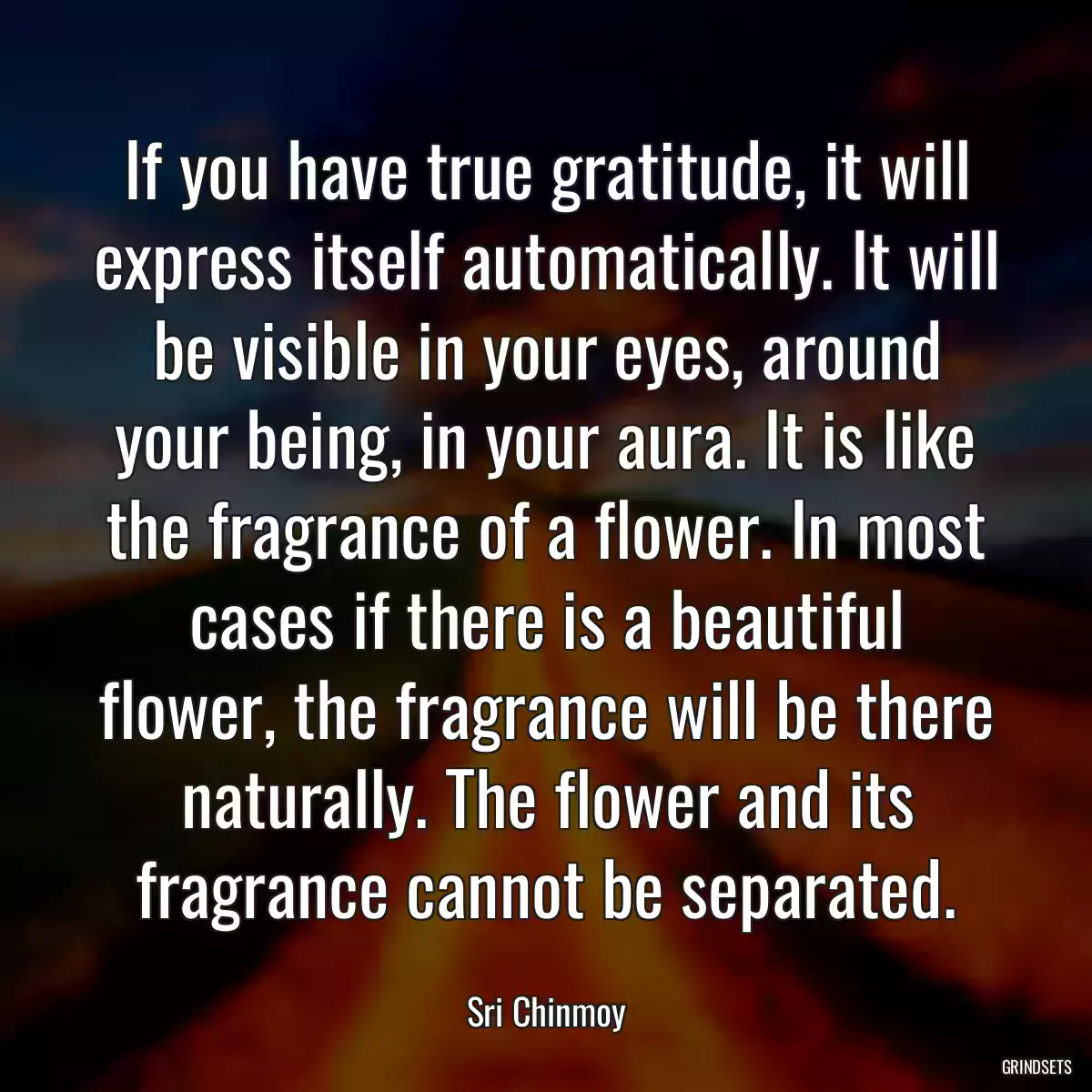 If you have true gratitude, it will express itself automatically. It will be visible in your eyes, around your being, in your aura. It is like the fragrance of a flower. In most cases if there is a beautiful flower, the fragrance will be there naturally. The flower and its fragrance cannot be separated.