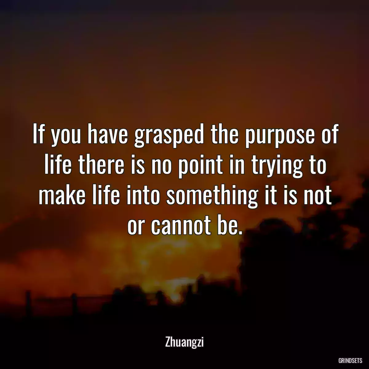 If you have grasped the purpose of life there is no point in trying to make life into something it is not or cannot be.