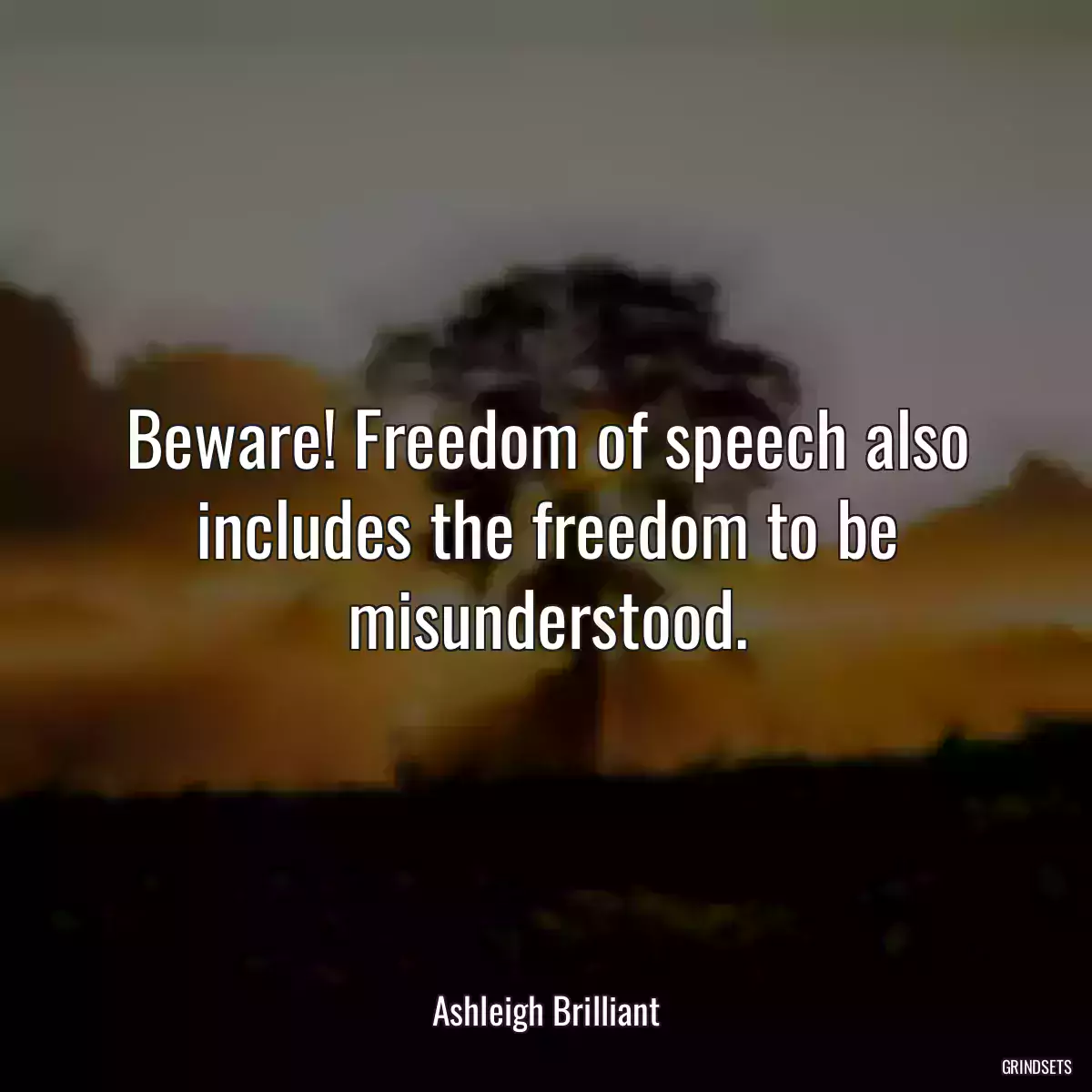 Beware! Freedom of speech also includes the freedom to be misunderstood.