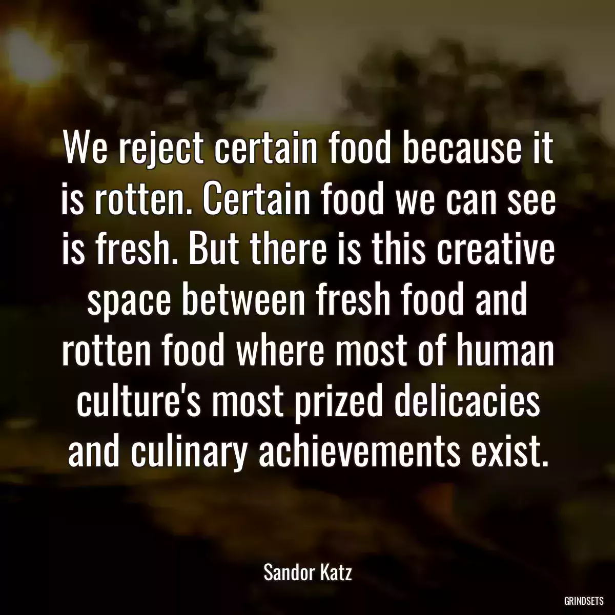 We reject certain food because it is rotten. Certain food we can see is fresh. But there is this creative space between fresh food and rotten food where most of human culture\'s most prized delicacies and culinary achievements exist.