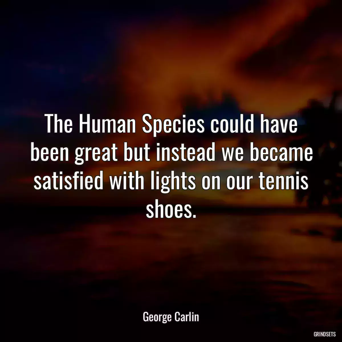 The Human Species could have been great but instead we became satisfied with lights on our tennis shoes.