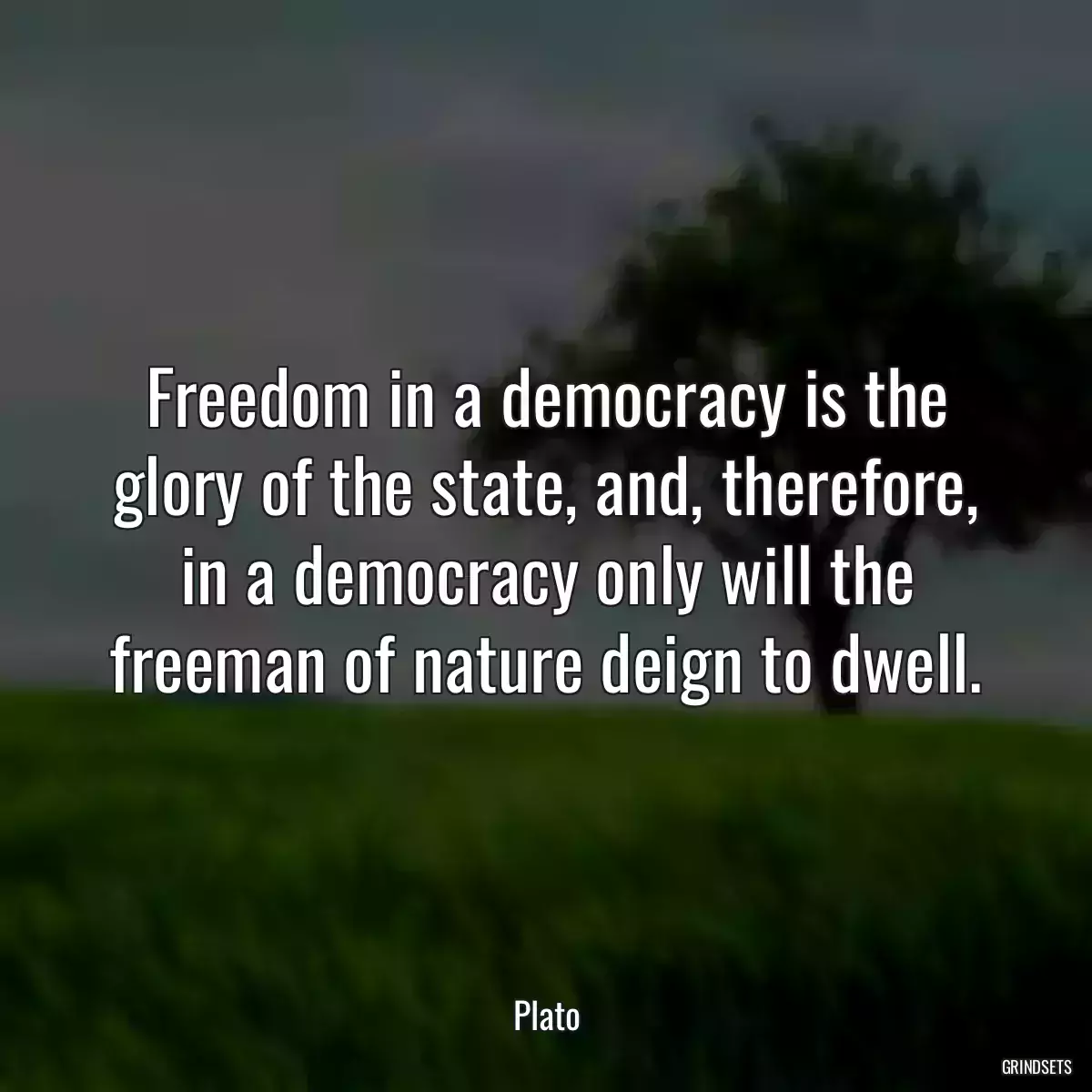 Freedom in a democracy is the glory of the state, and, therefore, in a democracy only will the freeman of nature deign to dwell.