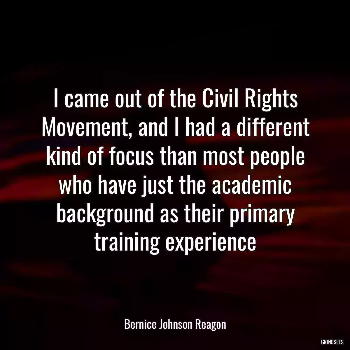 I came out of the Civil Rights Movement, and I had a different kind of focus than most people who have just the academic background as their primary training experience