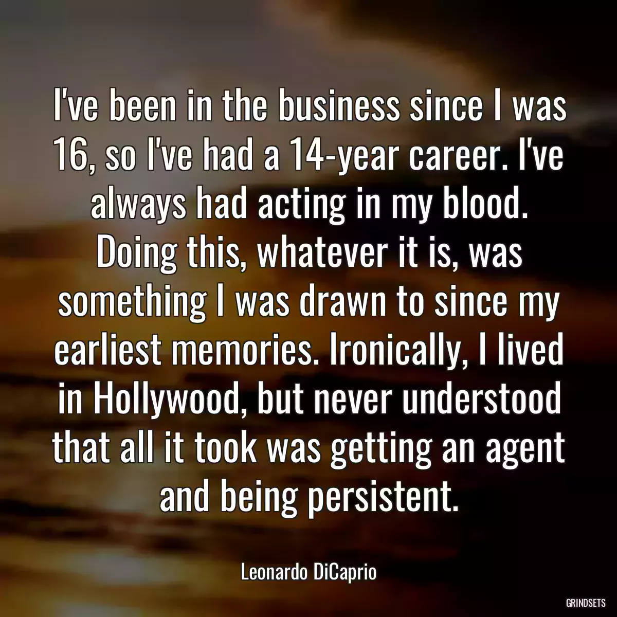 I\'ve been in the business since I was 16, so I\'ve had a 14-year career. I\'ve always had acting in my blood. Doing this, whatever it is, was something I was drawn to since my earliest memories. Ironically, I lived in Hollywood, but never understood that all it took was getting an agent and being persistent.