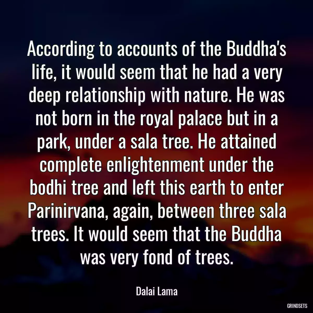 According to accounts of the Buddha\'s life, it would seem that he had a very deep relationship with nature. He was not born in the royal palace but in a park, under a sala tree. He attained complete enlightenment under the bodhi tree and left this earth to enter Parinirvana, again, between three sala trees. It would seem that the Buddha was very fond of trees.