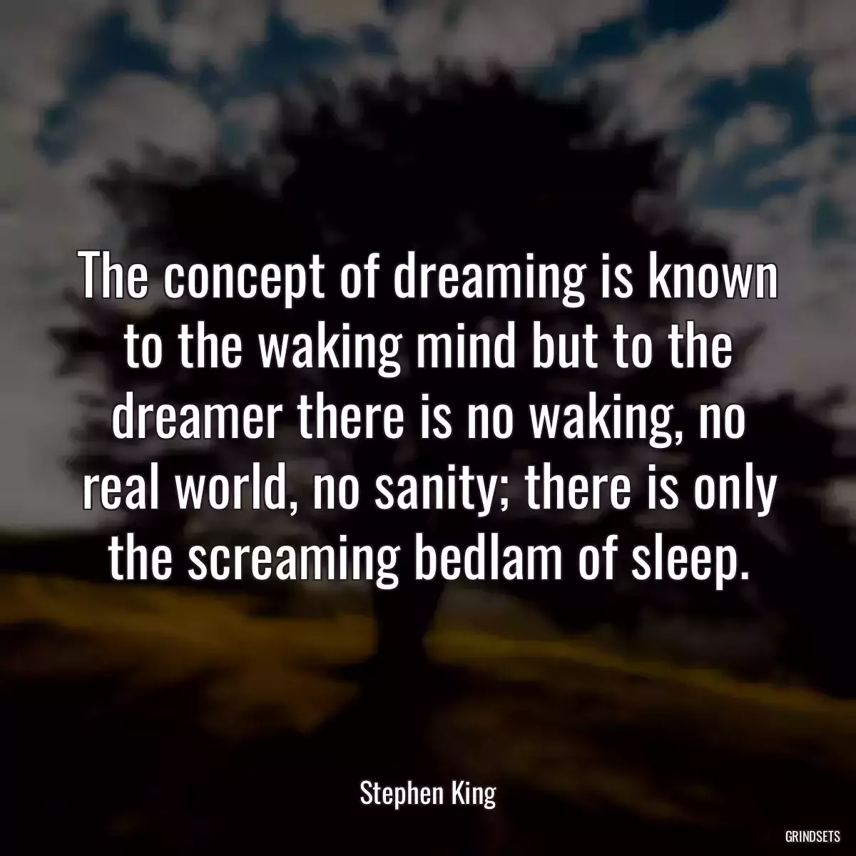 The concept of dreaming is known to the waking mind but to the dreamer there is no waking, no real world, no sanity; there is only the screaming bedlam of sleep.