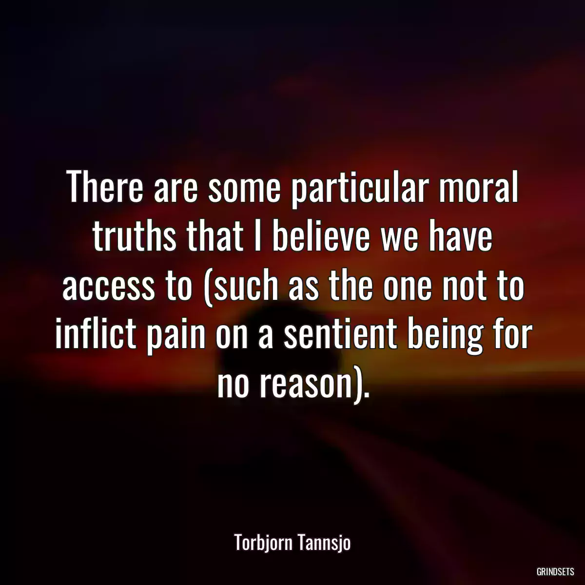 There are some particular moral truths that I believe we have access to (such as the one not to inflict pain on a sentient being for no reason).