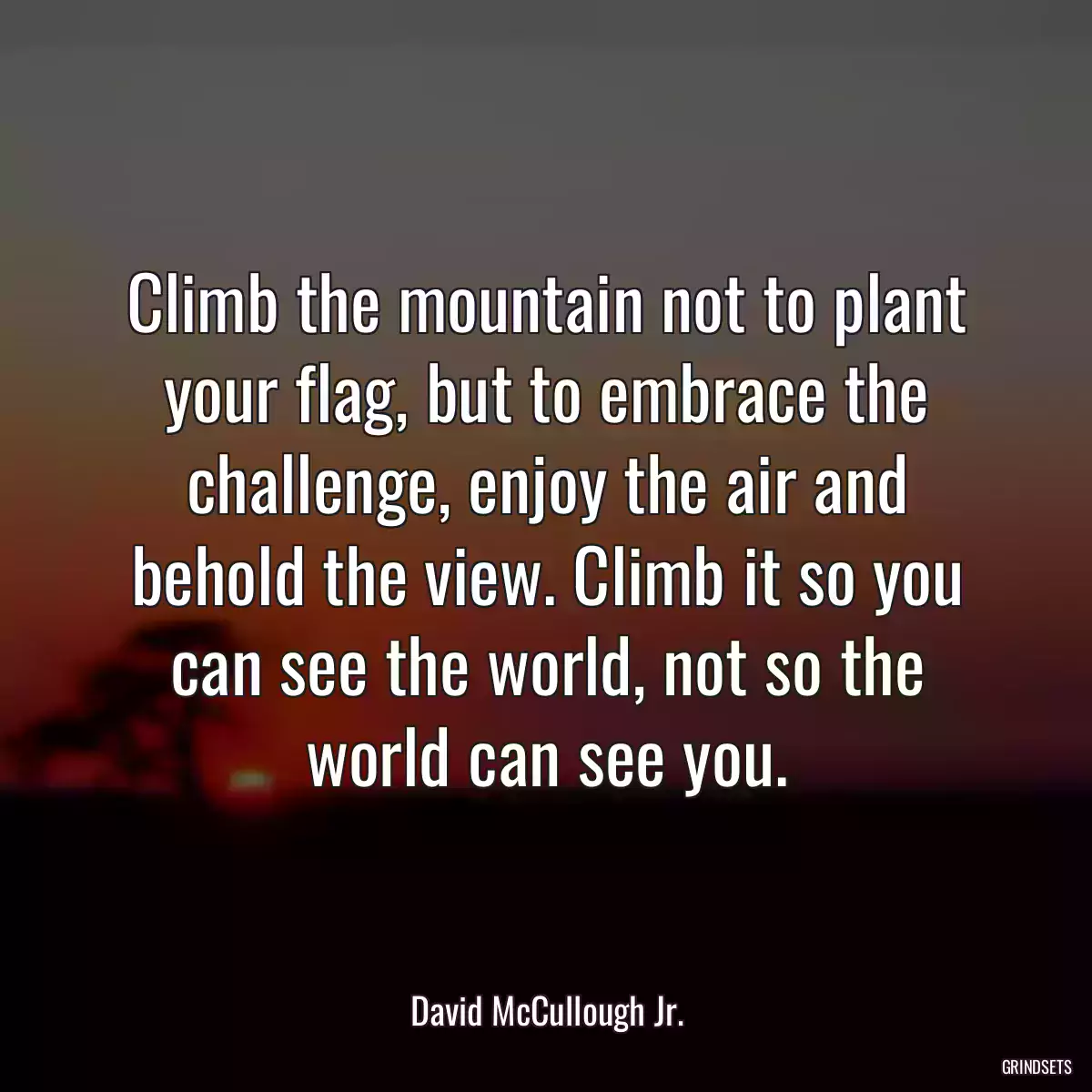 Climb the mountain not to plant your flag, but to embrace the challenge, enjoy the air and behold the view. Climb it so you can see the world, not so the world can see you.