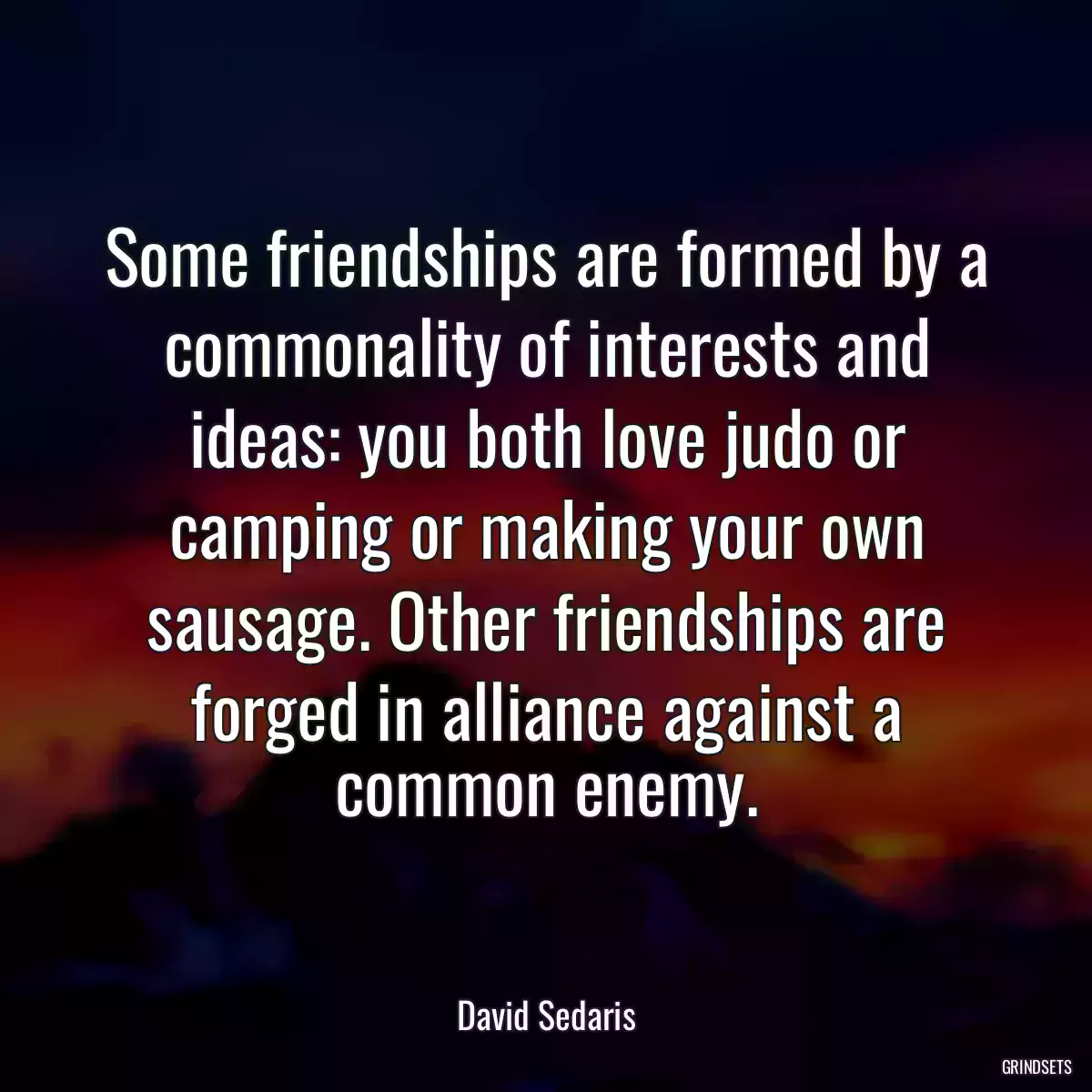 Some friendships are formed by a commonality of interests and ideas: you both love judo or camping or making your own sausage. Other friendships are forged in alliance against a common enemy.