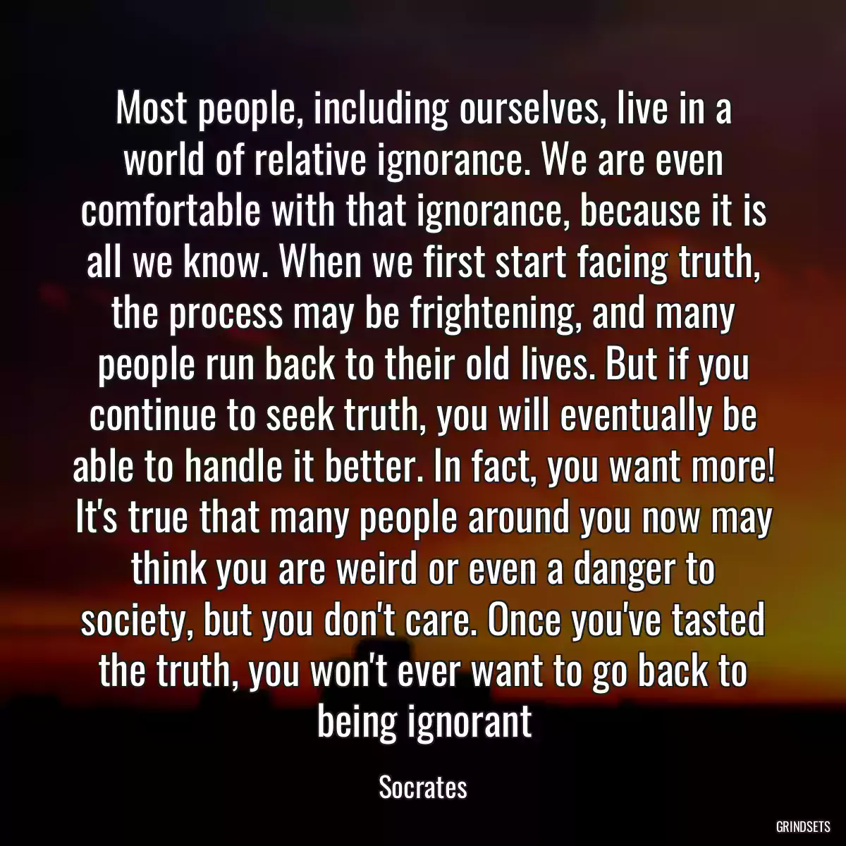 Most people, including ourselves, live in a world of relative ignorance. We are even comfortable with that ignorance, because it is all we know. When we first start facing truth, the process may be frightening, and many people run back to their old lives. But if you continue to seek truth, you will eventually be able to handle it better. In fact, you want more! It\'s true that many people around you now may think you are weird or even a danger to society, but you don\'t care. Once you\'ve tasted the truth, you won\'t ever want to go back to being ignorant