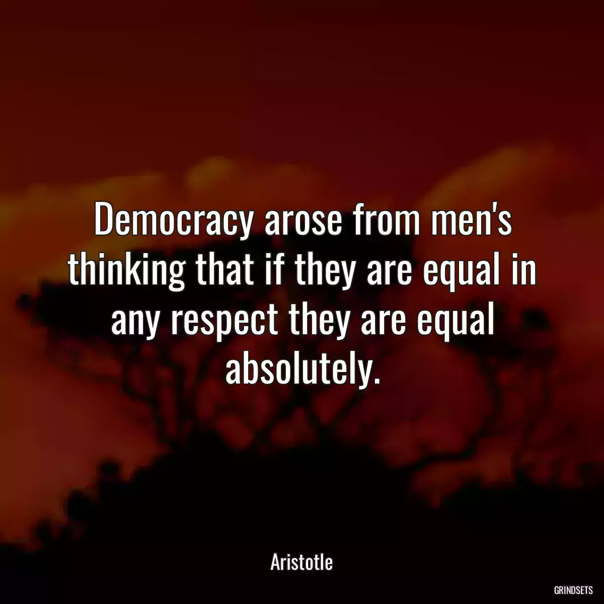 Democracy arose from men\'s thinking that if they are equal in any respect they are equal absolutely.