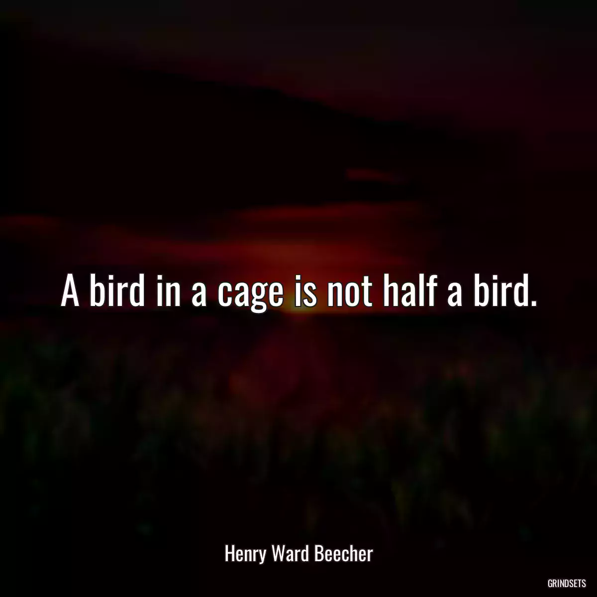 A bird in a cage is not half a bird.