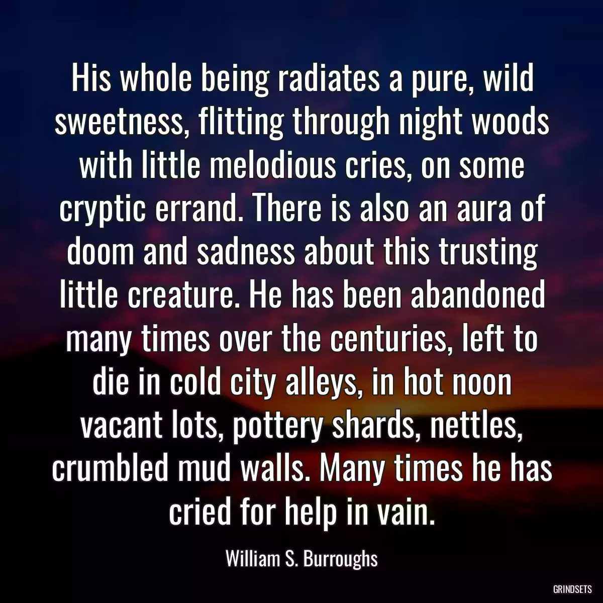 His whole being radiates a pure, wild sweetness, flitting through night woods with little melodious cries, on some cryptic errand. There is also an aura of doom and sadness about this trusting little creature. He has been abandoned many times over the centuries, left to die in cold city alleys, in hot noon vacant lots, pottery shards, nettles, crumbled mud walls. Many times he has cried for help in vain.