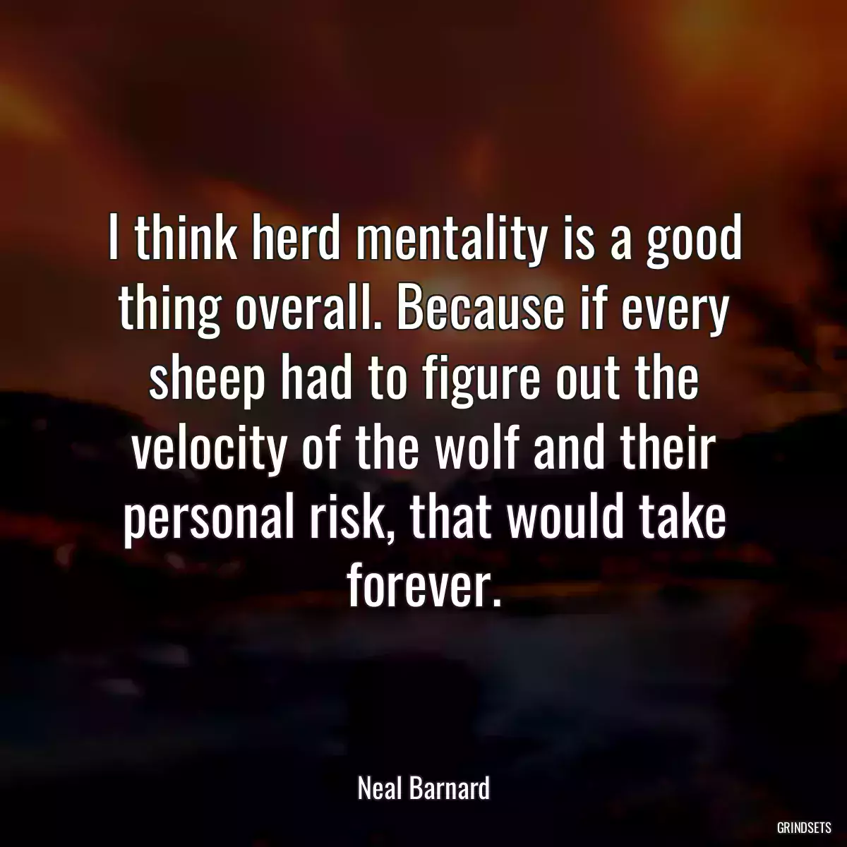 I think herd mentality is a good thing overall. Because if every sheep had to figure out the velocity of the wolf and their personal risk, that would take forever.