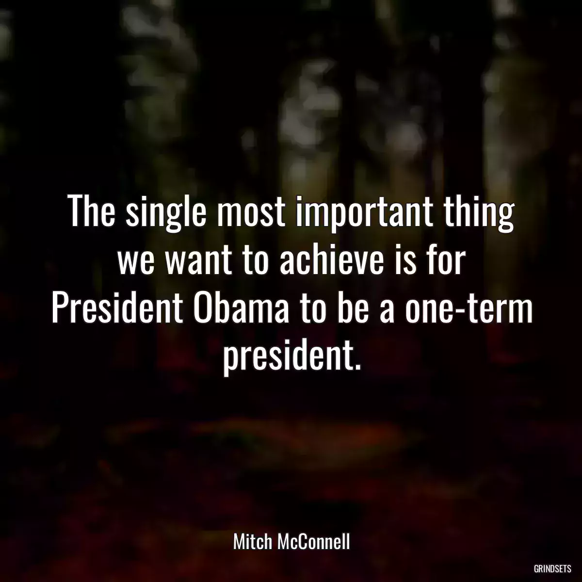 The single most important thing we want to achieve is for President Obama to be a one-term president.