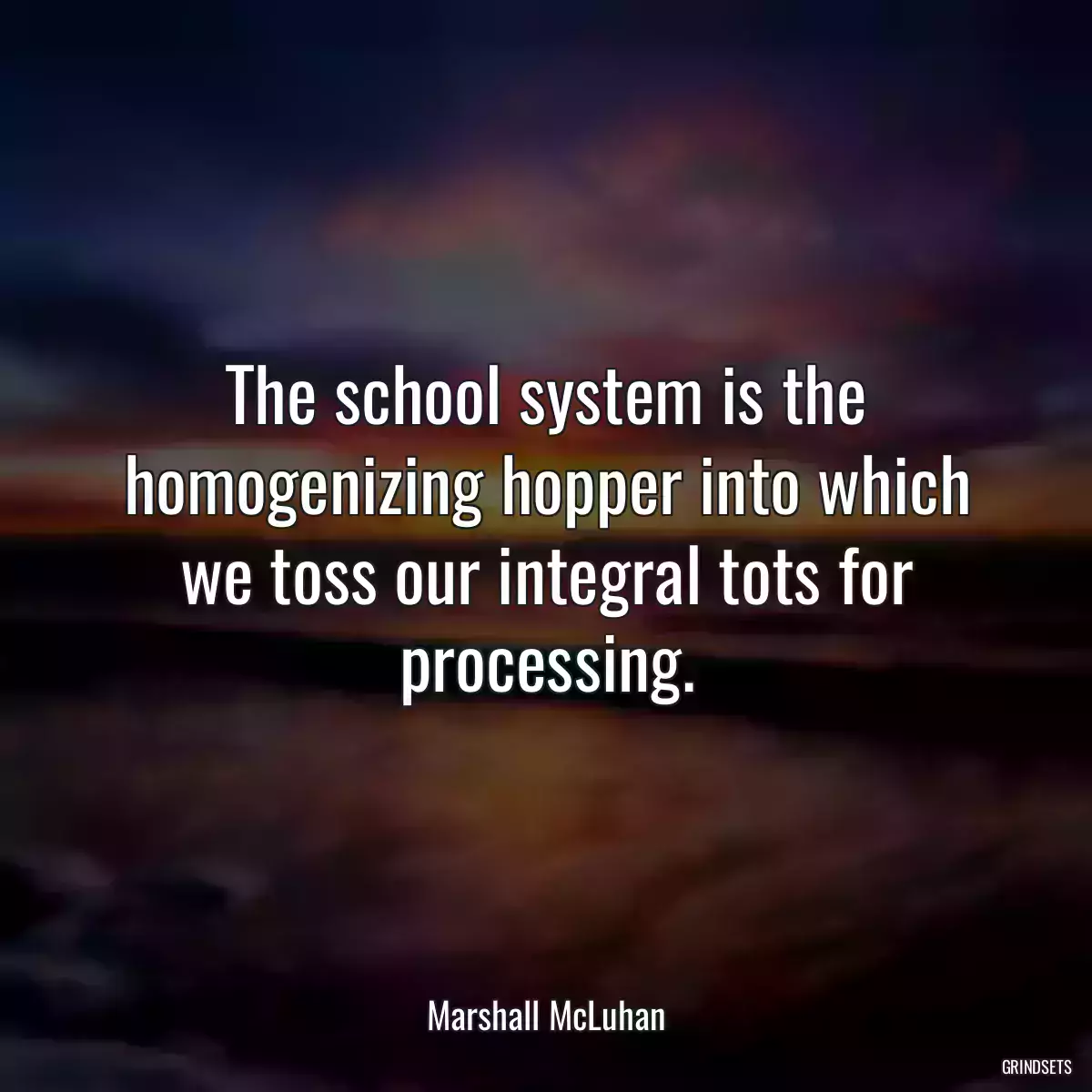 The school system is the homogenizing hopper into which we toss our integral tots for processing.