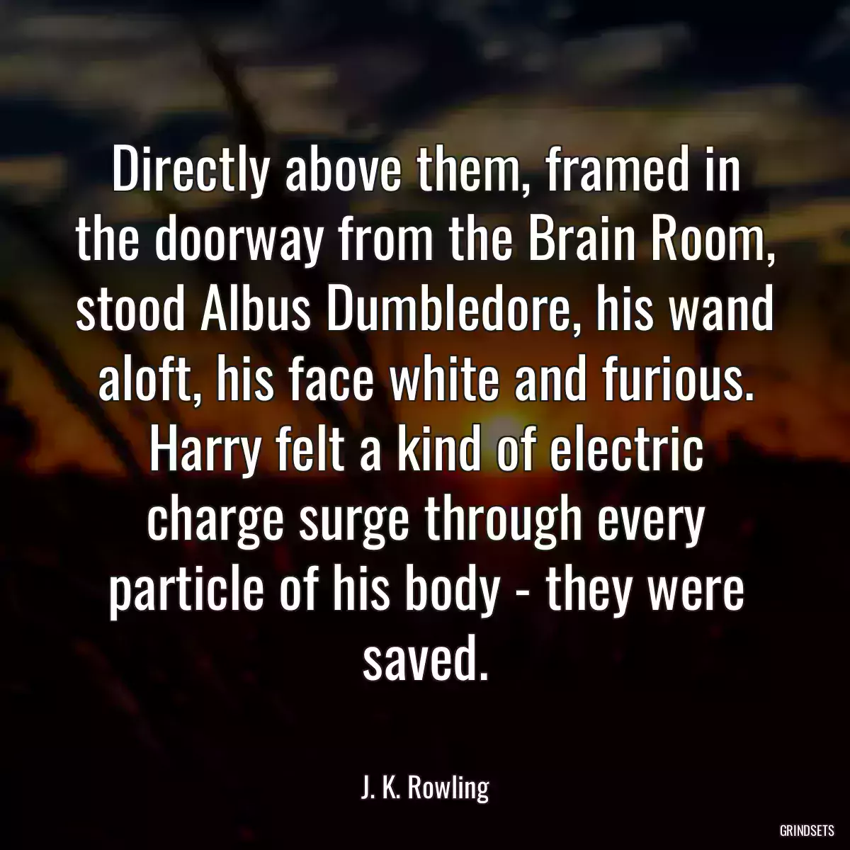 Directly above them, framed in the doorway from the Brain Room, stood Albus Dumbledore, his wand aloft, his face white and furious. Harry felt a kind of electric charge surge through every particle of his body - they were saved.