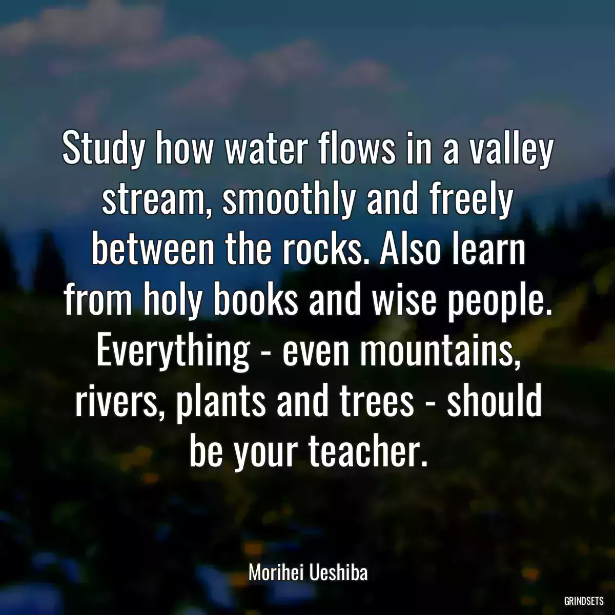 Study how water flows in a valley stream, smoothly and freely between the rocks. Also learn from holy books and wise people. Everything - even mountains, rivers, plants and trees - should be your teacher.