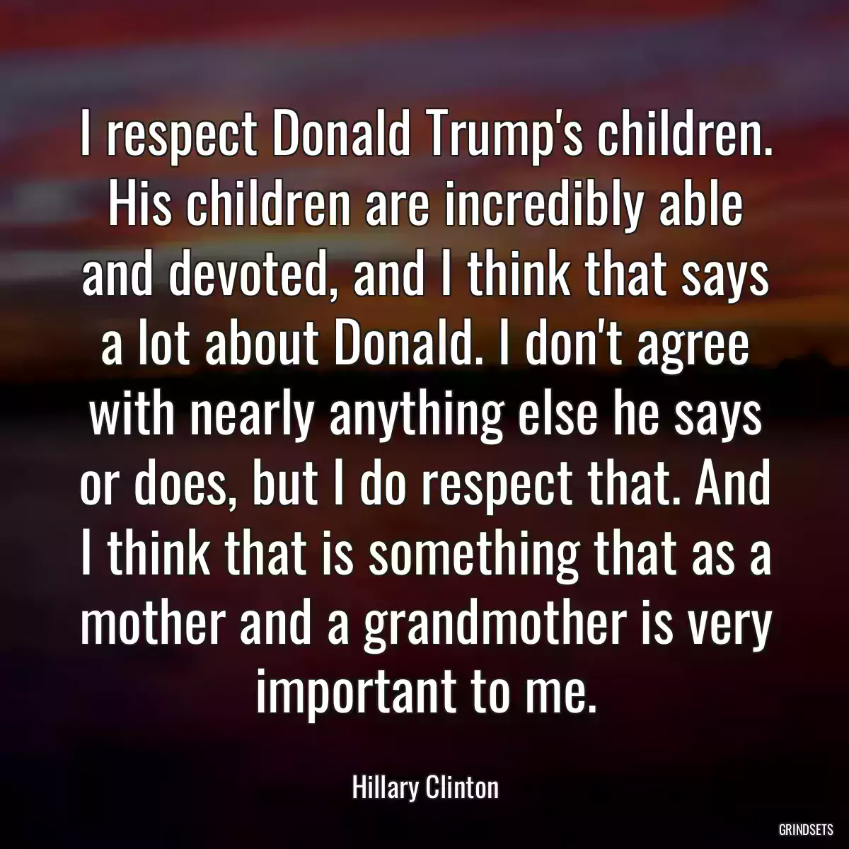 I respect Donald Trump\'s children. His children are incredibly able and devoted, and I think that says a lot about Donald. I don\'t agree with nearly anything else he says or does, but I do respect that. And I think that is something that as a mother and a grandmother is very important to me.