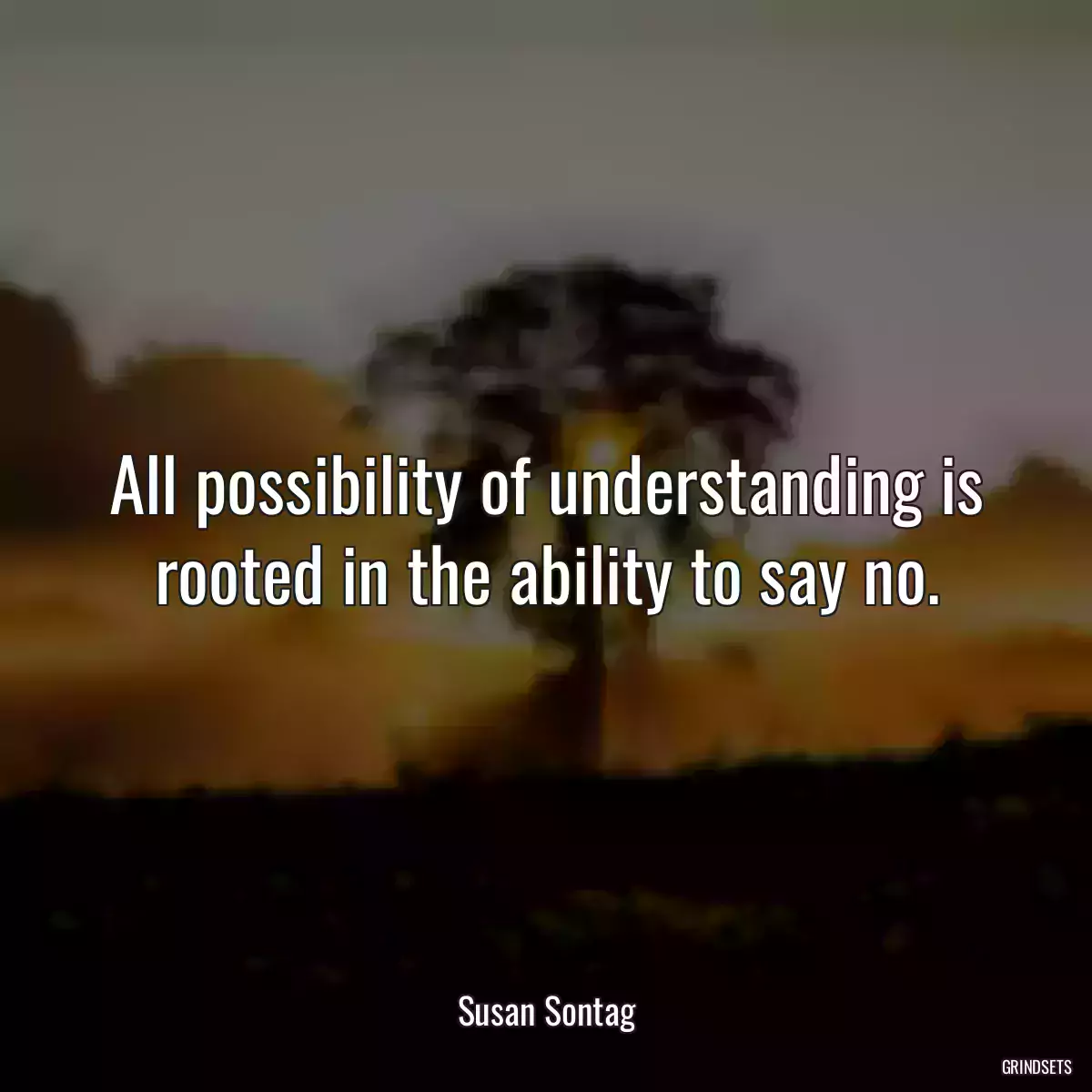 All possibility of understanding is rooted in the ability to say no.