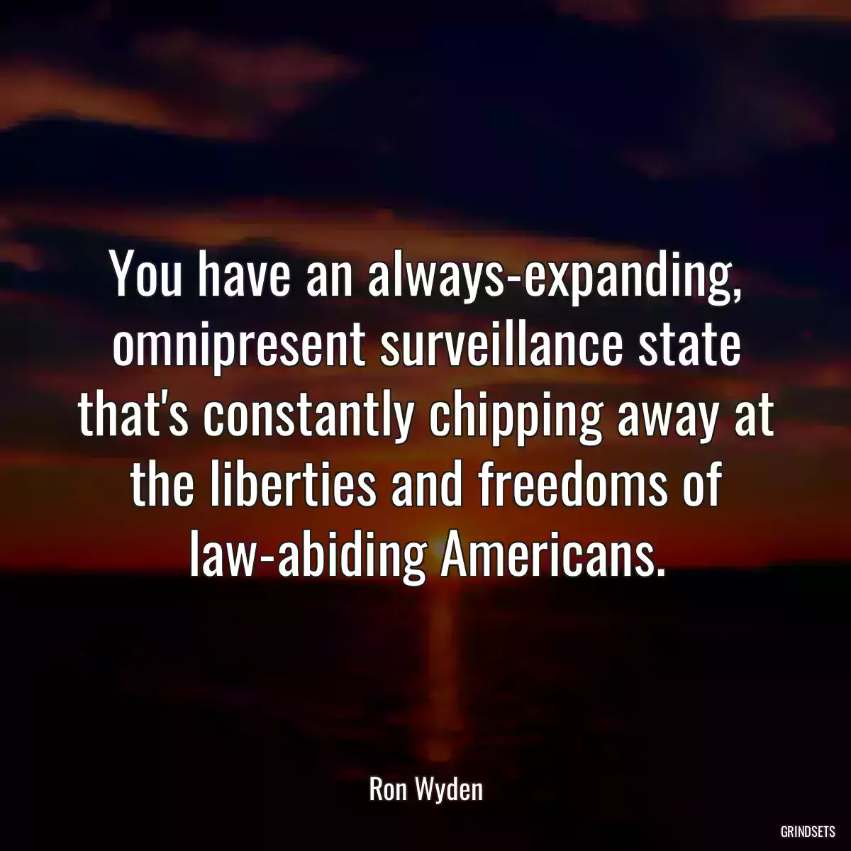 You have an always-expanding, omnipresent surveillance state that\'s constantly chipping away at the liberties and freedoms of law-abiding Americans.