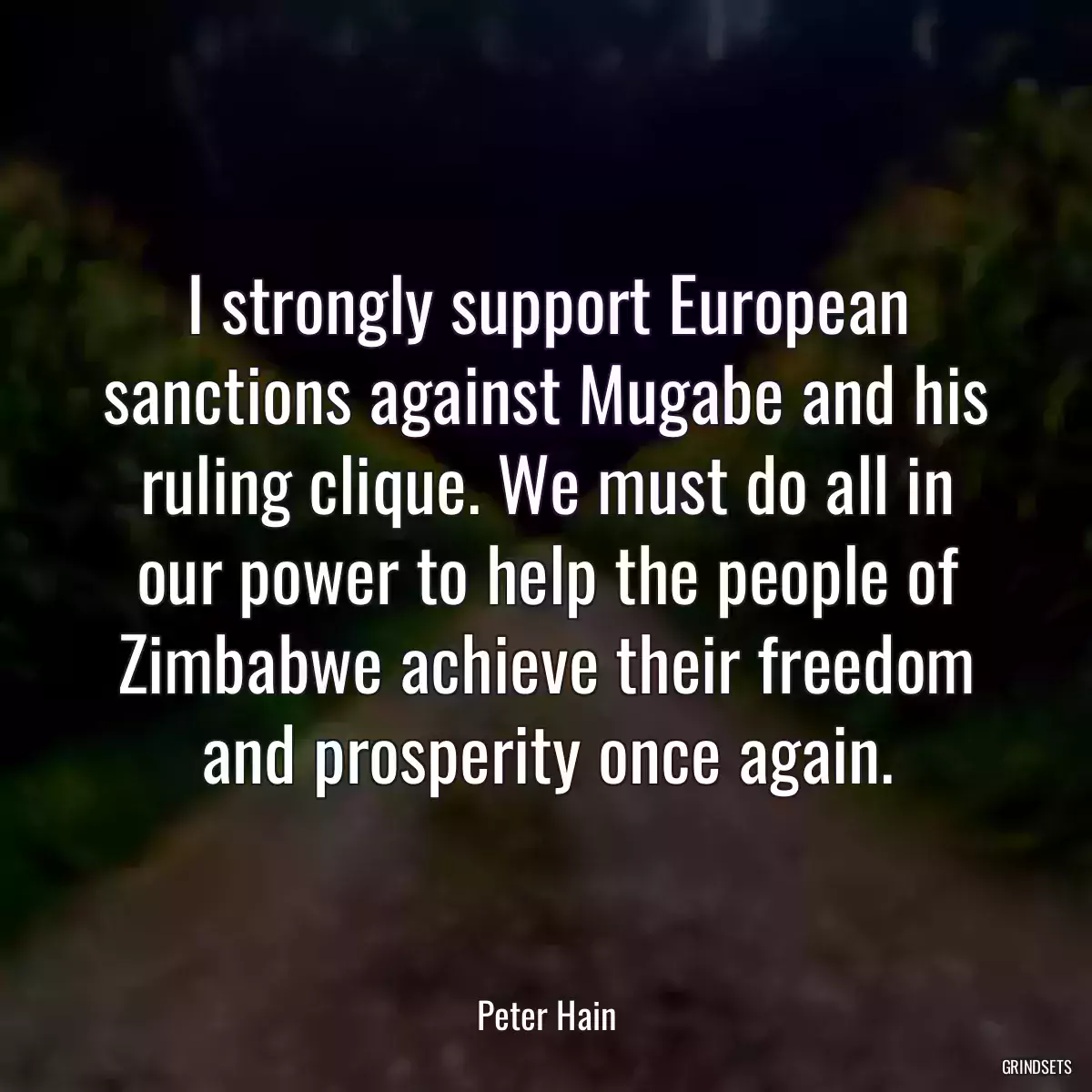 I strongly support European sanctions against Mugabe and his ruling clique. We must do all in our power to help the people of Zimbabwe achieve their freedom and prosperity once again.