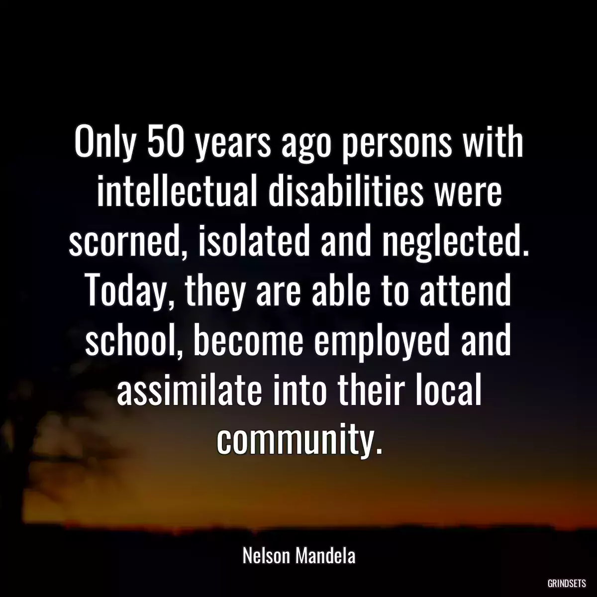 Only 50 years ago persons with intellectual disabilities were scorned, isolated and neglected. Today, they are able to attend school, become employed and assimilate into their local community.