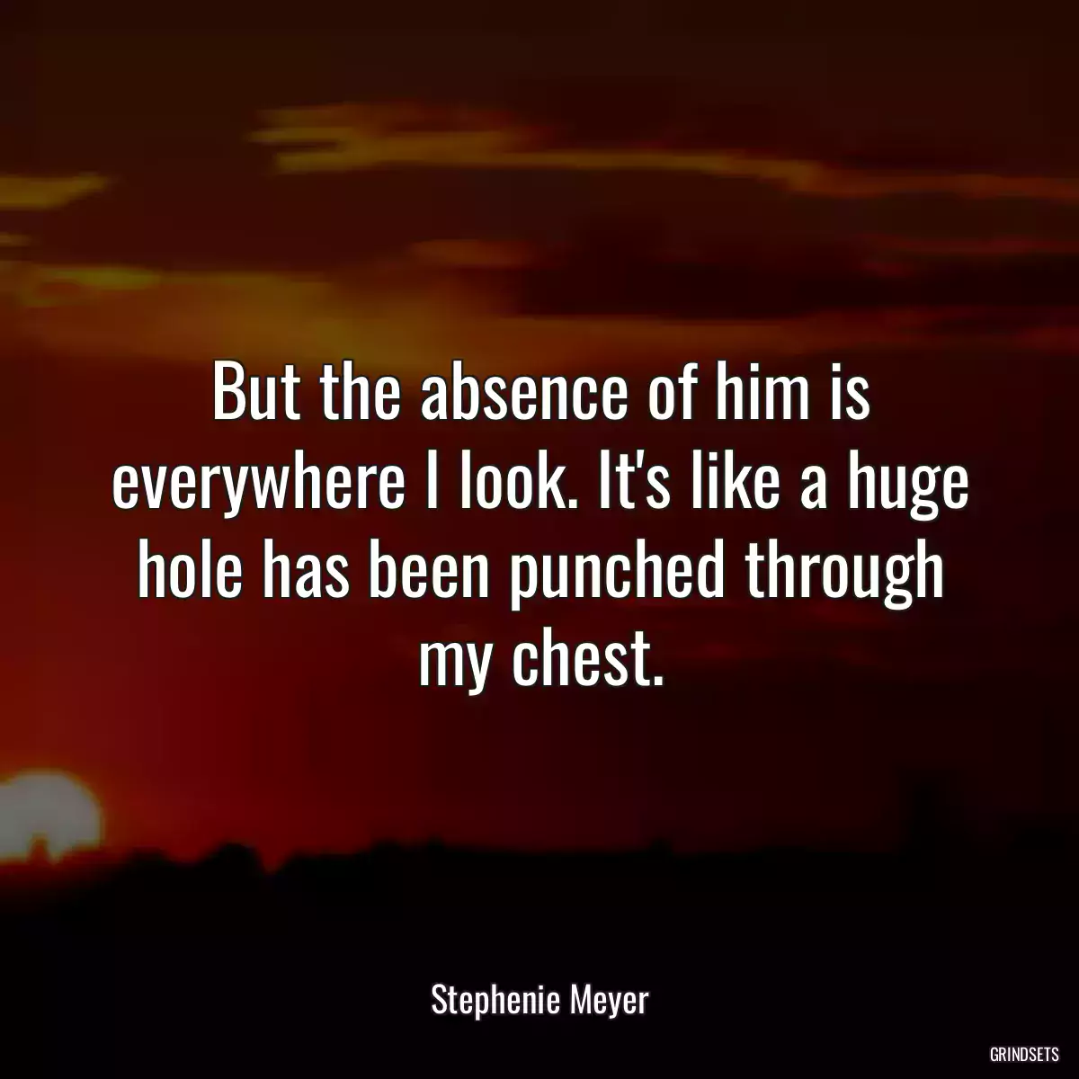 But the absence of him is everywhere I look. It\'s like a huge hole has been punched through my chest.