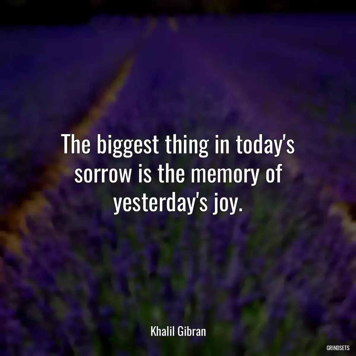 The biggest thing in today\'s sorrow is the memory of yesterday\'s joy.