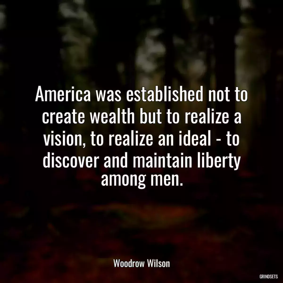 America was established not to create wealth but to realize a vision, to realize an ideal - to discover and maintain liberty among men.