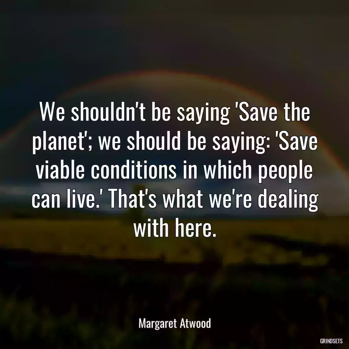 We shouldn\'t be saying \'Save the planet\'; we should be saying: \'Save viable conditions in which people can live.\' That\'s what we\'re dealing with here.