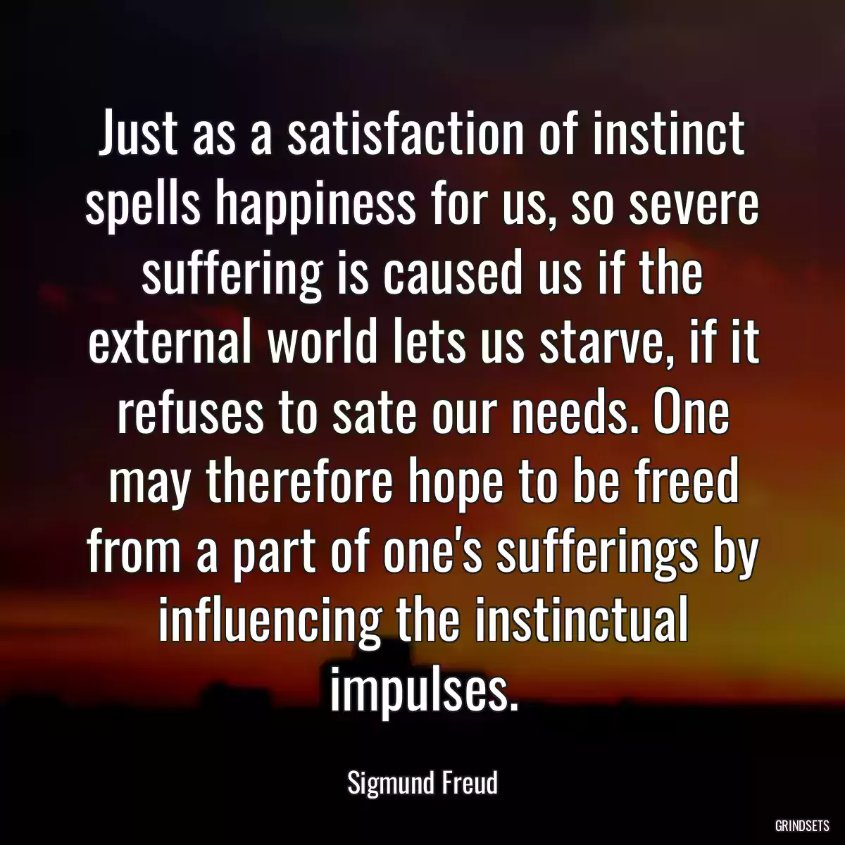 Just as a satisfaction of instinct spells happiness for us, so severe suffering is caused us if the external world lets us starve, if it refuses to sate our needs. One may therefore hope to be freed from a part of one\'s sufferings by influencing the instinctual impulses.
