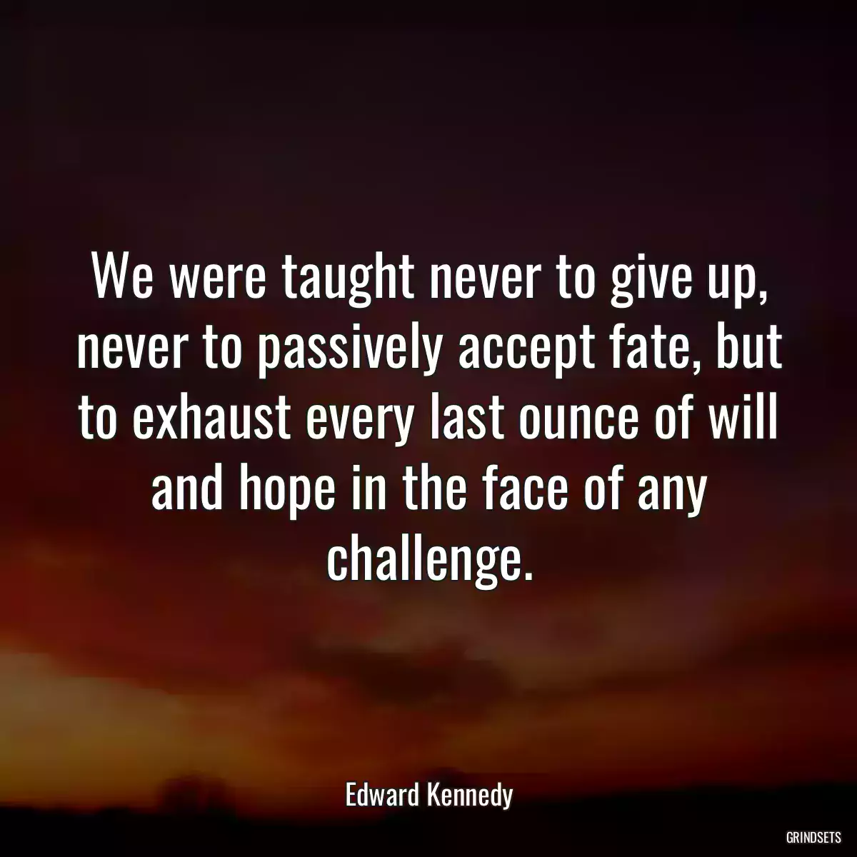 We were taught never to give up, never to passively accept fate, but to exhaust every last ounce of will and hope in the face of any challenge.