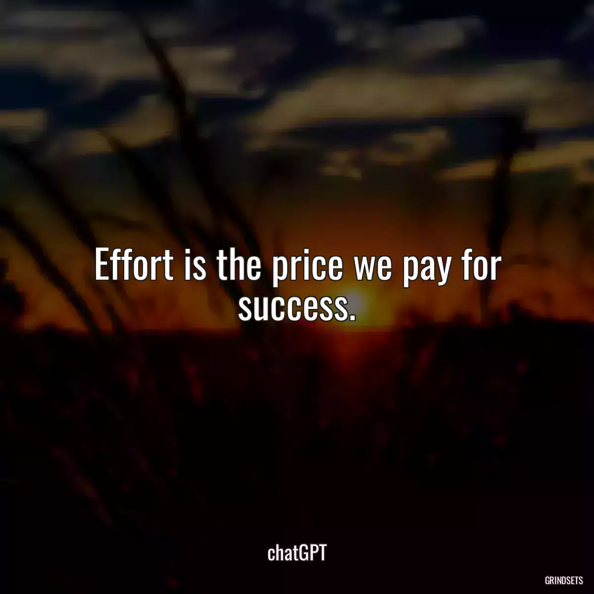 Effort is the price we pay for success.