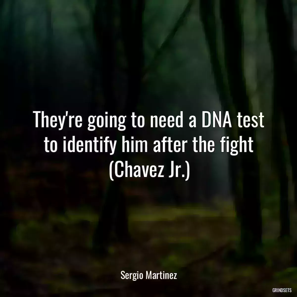 They\'re going to need a DNA test to identify him after the fight (Chavez Jr.)