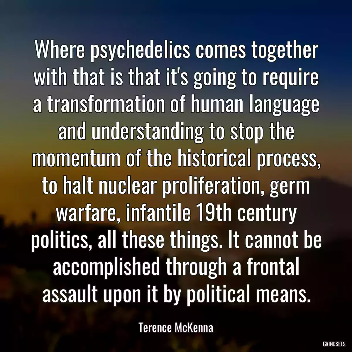 Where psychedelics comes together with that is that it\'s going to require a transformation of human language and understanding to stop the momentum of the historical process, to halt nuclear proliferation, germ warfare, infantile 19th century politics, all these things. It cannot be accomplished through a frontal assault upon it by political means.