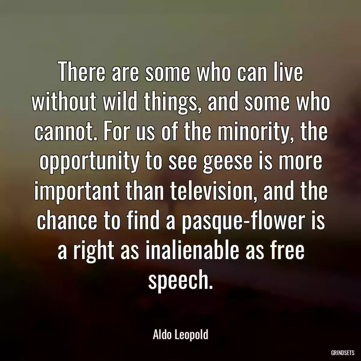 There are some who can live without wild things, and some who cannot. For us of the minority, the opportunity to see geese is more important than television, and the chance to find a pasque-flower is a right as inalienable as free speech.