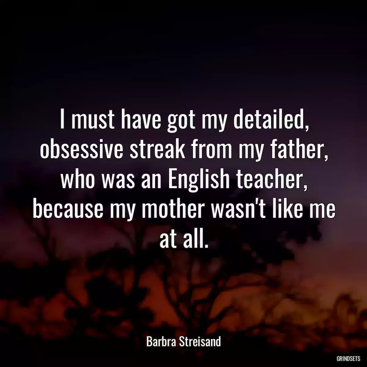 I must have got my detailed, obsessive streak from my father, who was an English teacher, because my mother wasn\'t like me at all.