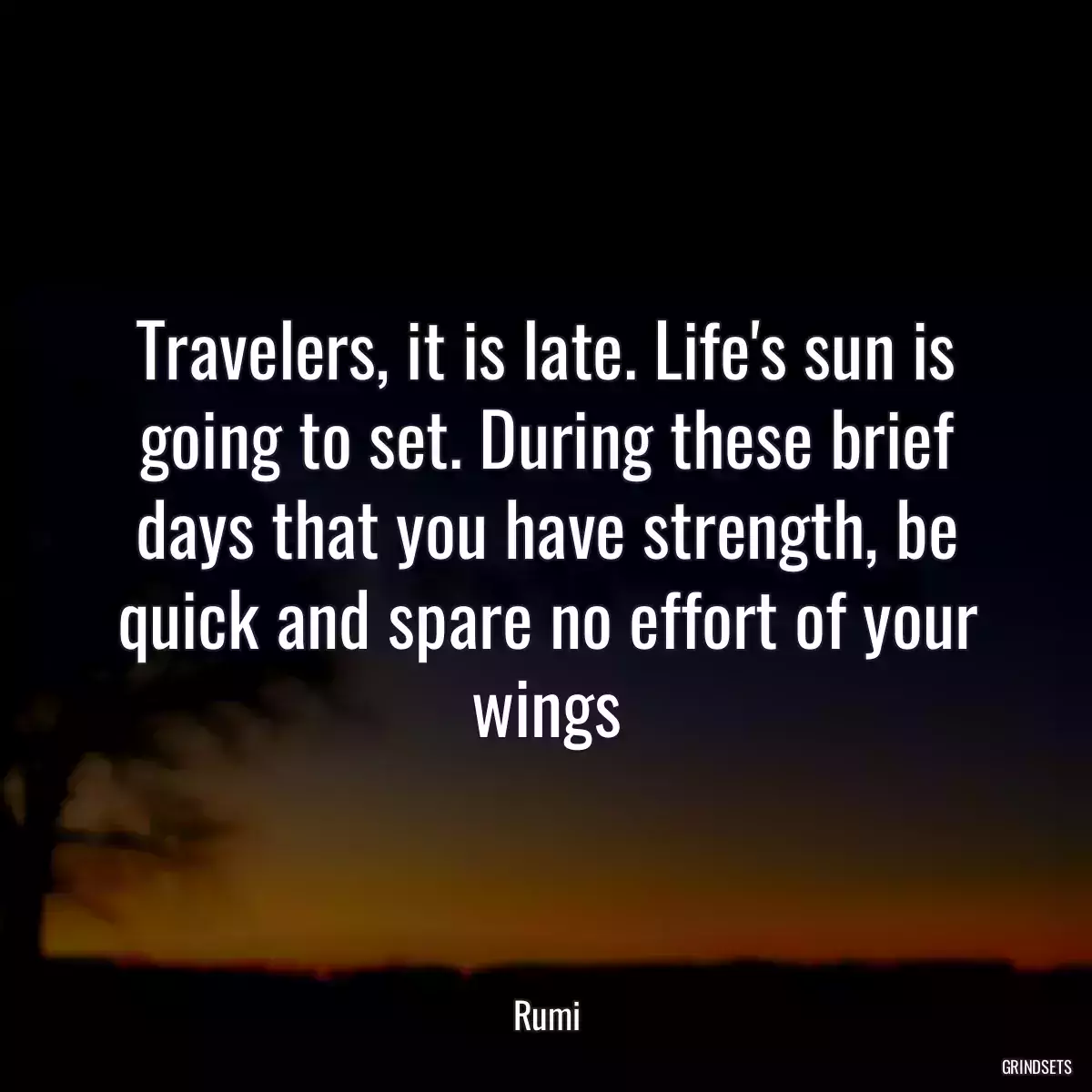 Travelers, it is late. Life\'s sun is going to set. During these brief days that you have strength, be quick and spare no effort of your wings