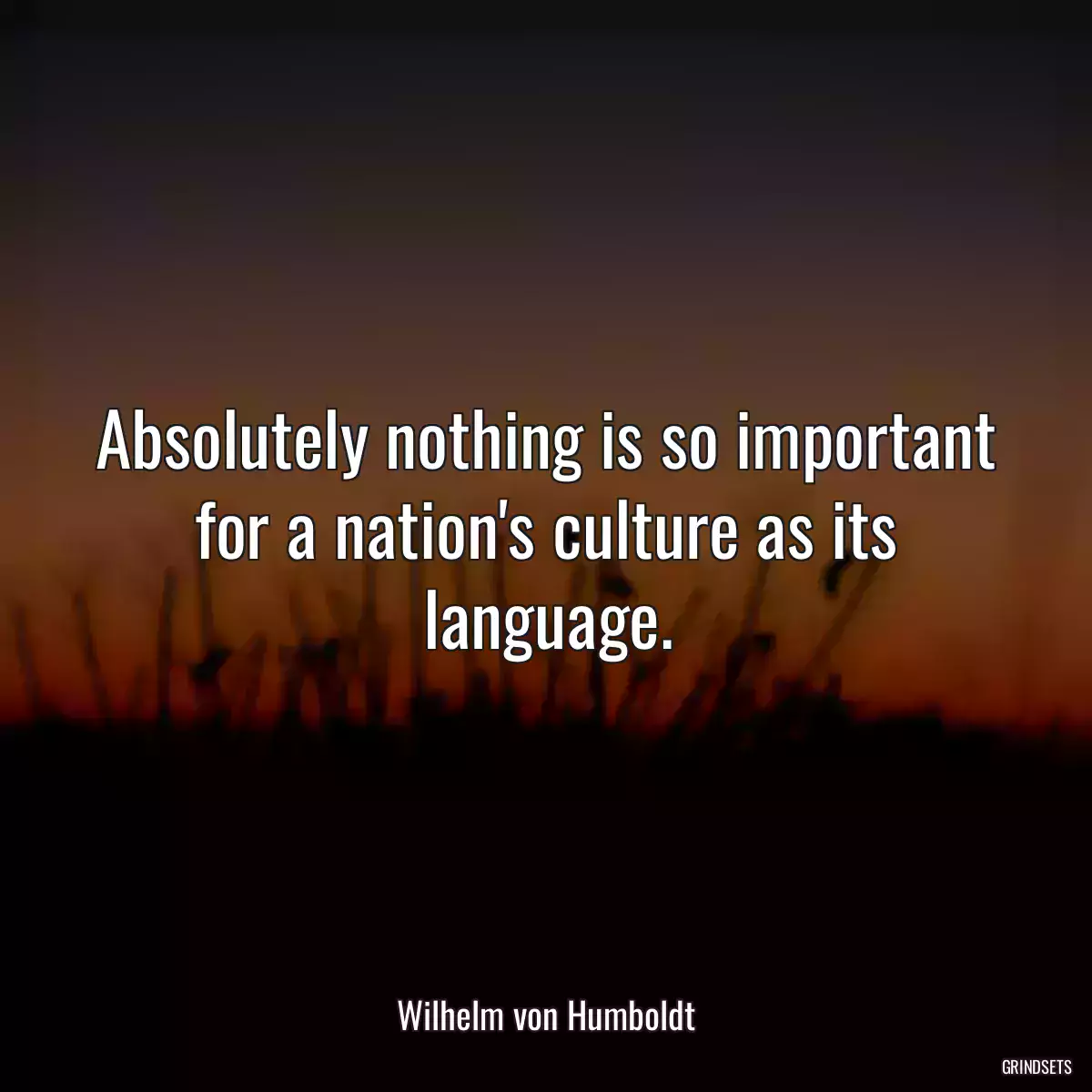 Absolutely nothing is so important for a nation\'s culture as its language.