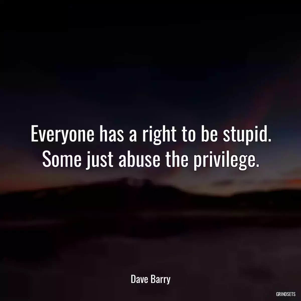 Everyone has a right to be stupid. Some just abuse the privilege.