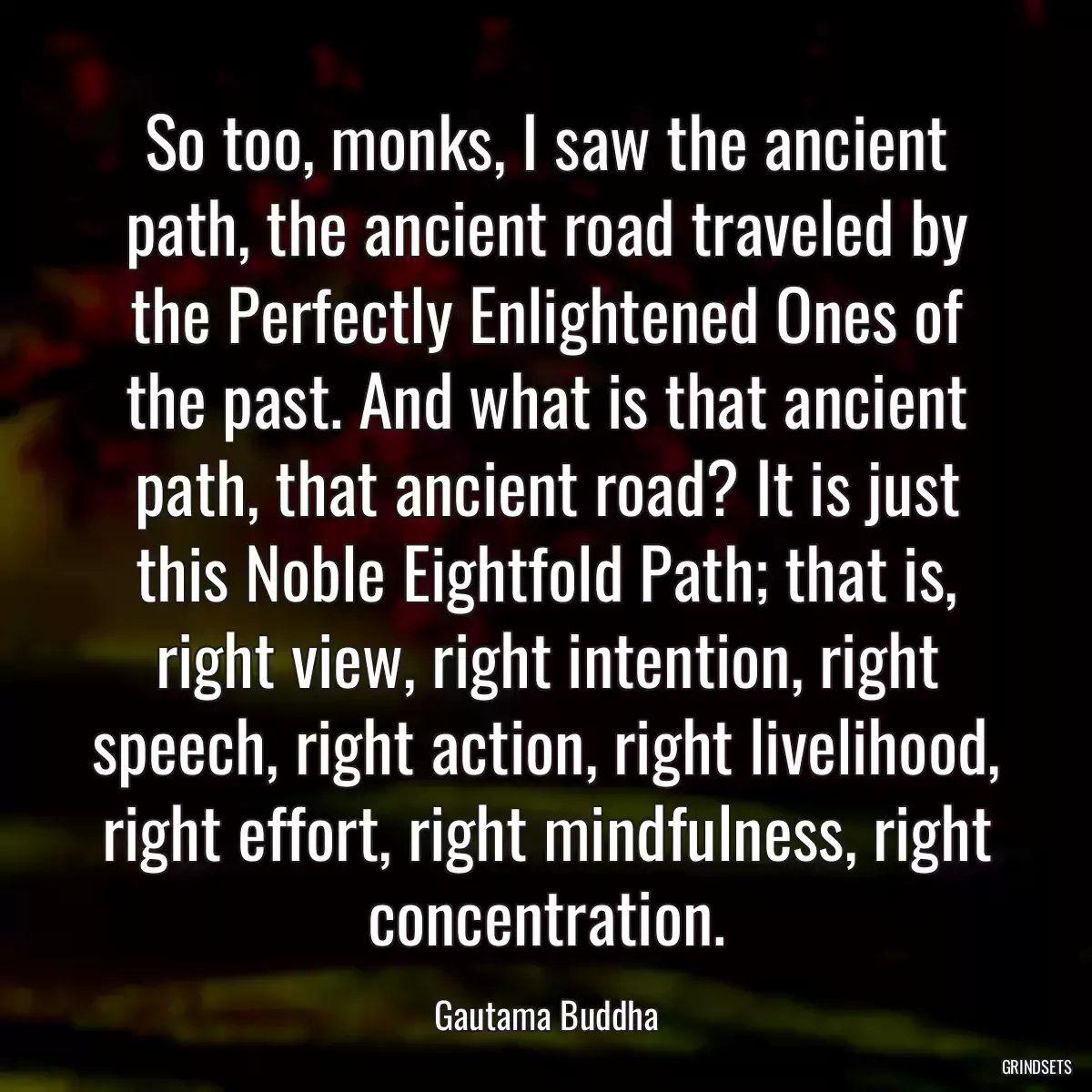 So too, monks, I saw the ancient path, the ancient road traveled by the Perfectly Enlightened Ones of the past. And what is that ancient path, that ancient road? It is just this Noble Eightfold Path; that is, right view, right intention, right speech, right action, right livelihood, right effort, right mindfulness, right concentration.