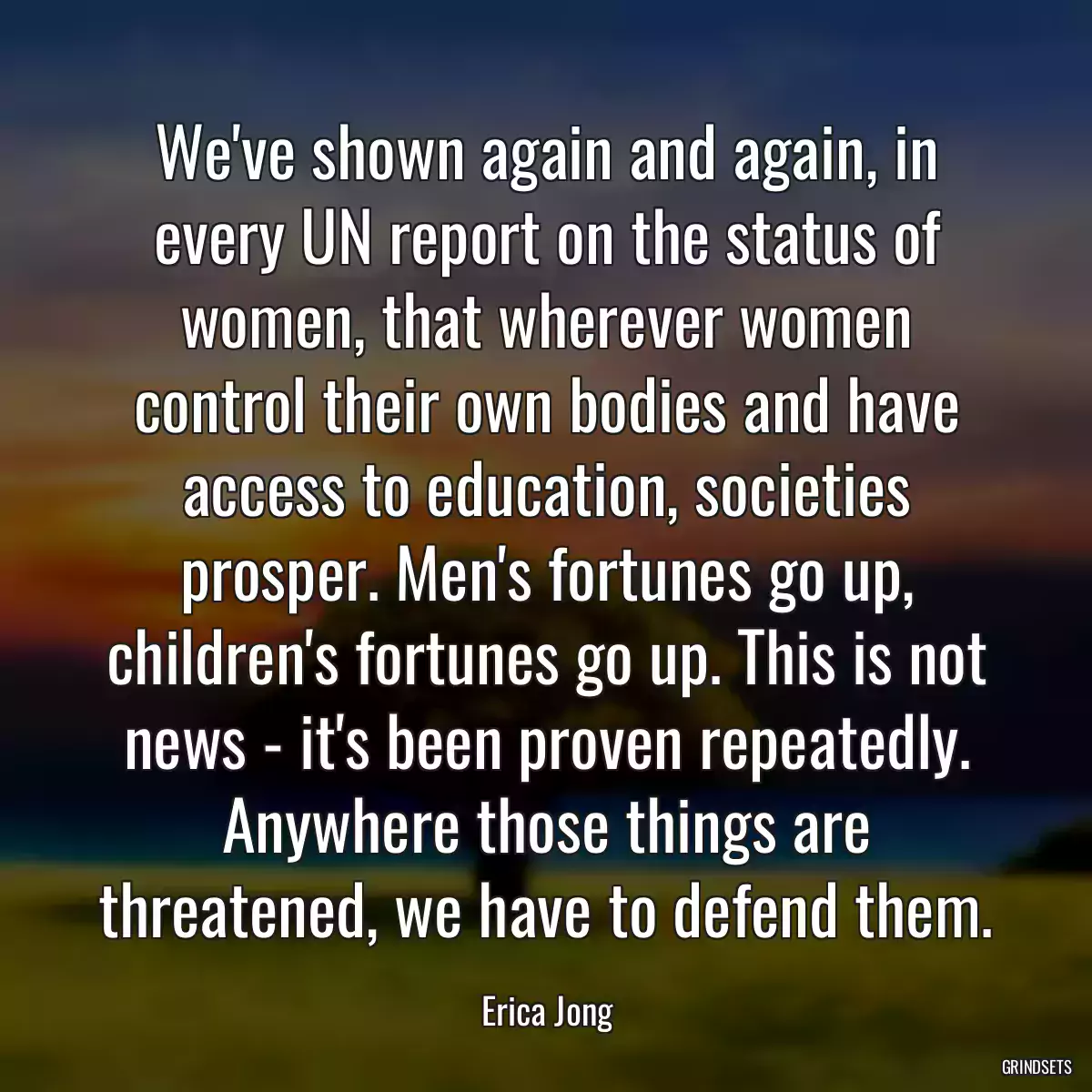 We\'ve shown again and again, in every UN report on the status of women, that wherever women control their own bodies and have access to education, societies prosper. Men\'s fortunes go up, children\'s fortunes go up. This is not news - it\'s been proven repeatedly. Anywhere those things are threatened, we have to defend them.