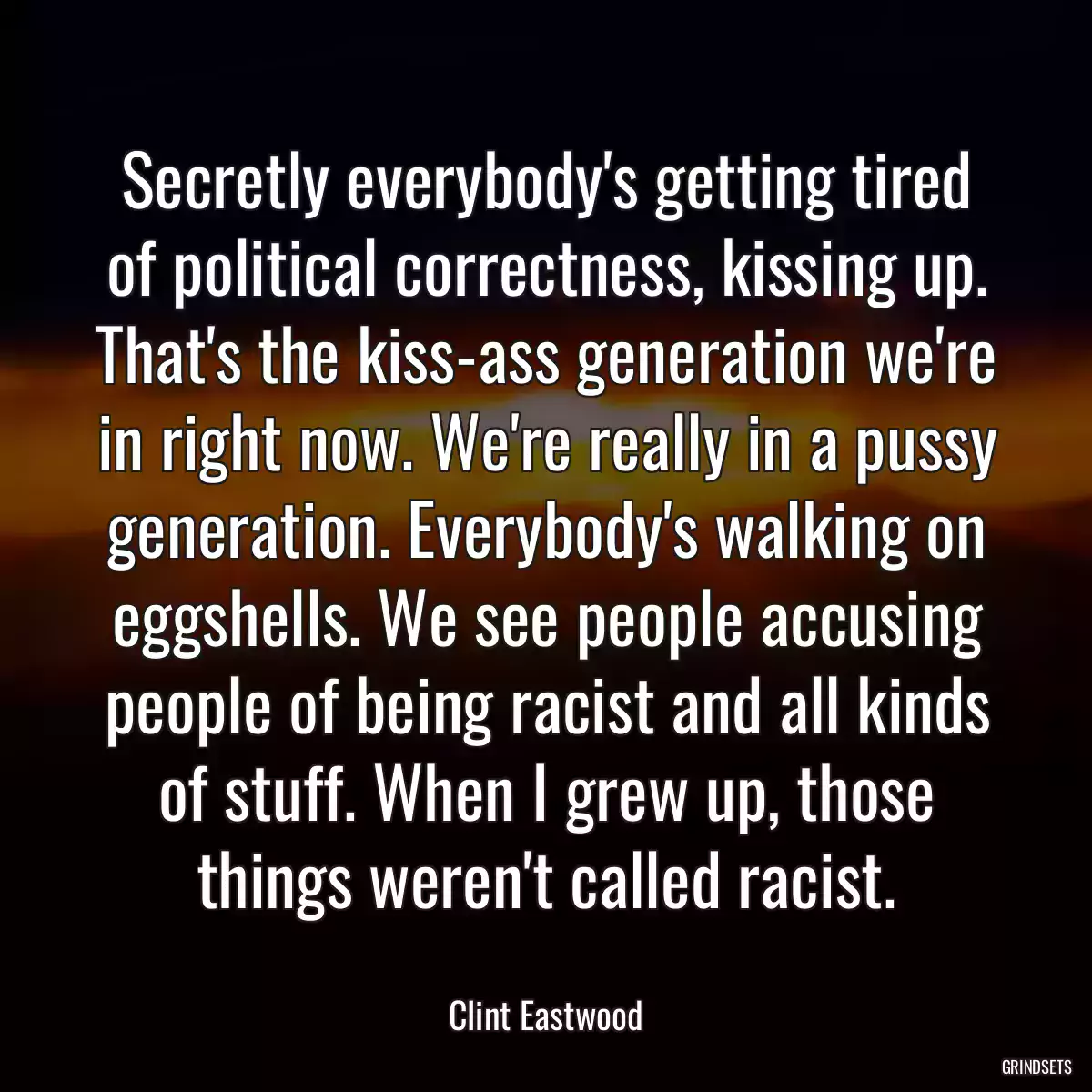 Secretly everybody\'s getting tired of political correctness, kissing up. That\'s the kiss-ass generation we\'re in right now. We\'re really in a pussy generation. Everybody\'s walking on eggshells. We see people accusing people of being racist and all kinds of stuff. When I grew up, those things weren\'t called racist.