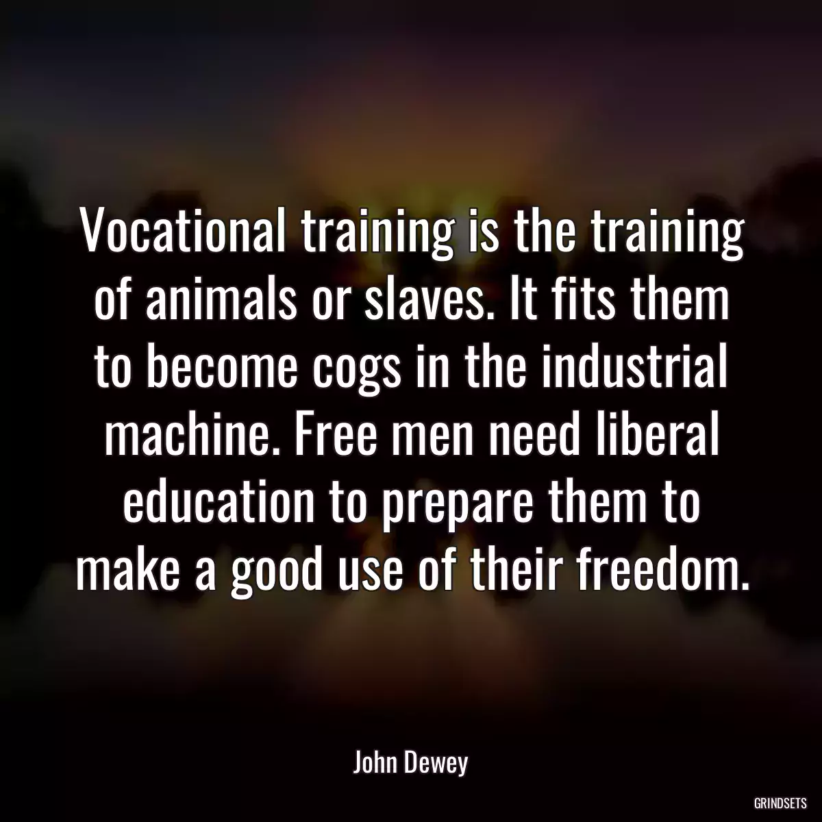 Vocational training is the training of animals or slaves. It fits them to become cogs in the industrial machine. Free men need liberal education to prepare them to make a good use of their freedom.