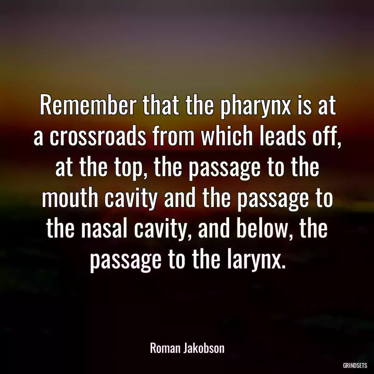 Remember that the pharynx is at a crossroads from which leads off, at the top, the passage to the mouth cavity and the passage to the nasal cavity, and below, the passage to the larynx.