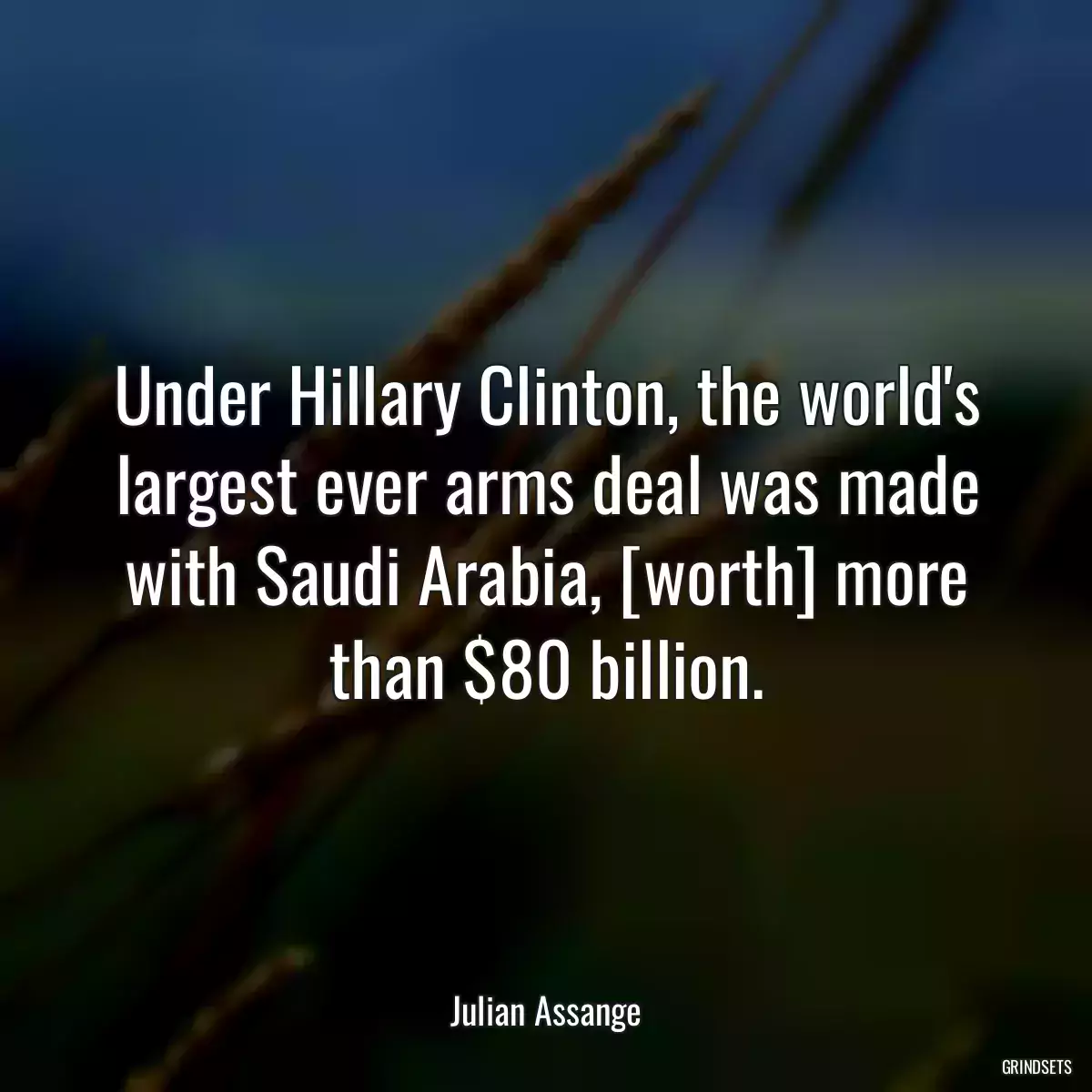 Under Hillary Clinton, the world\'s largest ever arms deal was made with Saudi Arabia, [worth] more than $80 billion.