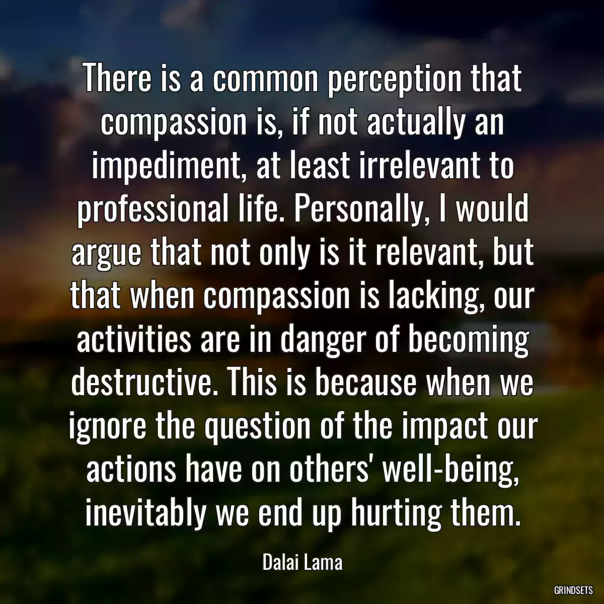 There is a common perception that compassion is, if not actually an impediment, at least irrelevant to professional life. Personally, I would argue that not only is it relevant, but that when compassion is lacking, our activities are in danger of becoming destructive. This is because when we ignore the question of the impact our actions have on others\' well-being, inevitably we end up hurting them.