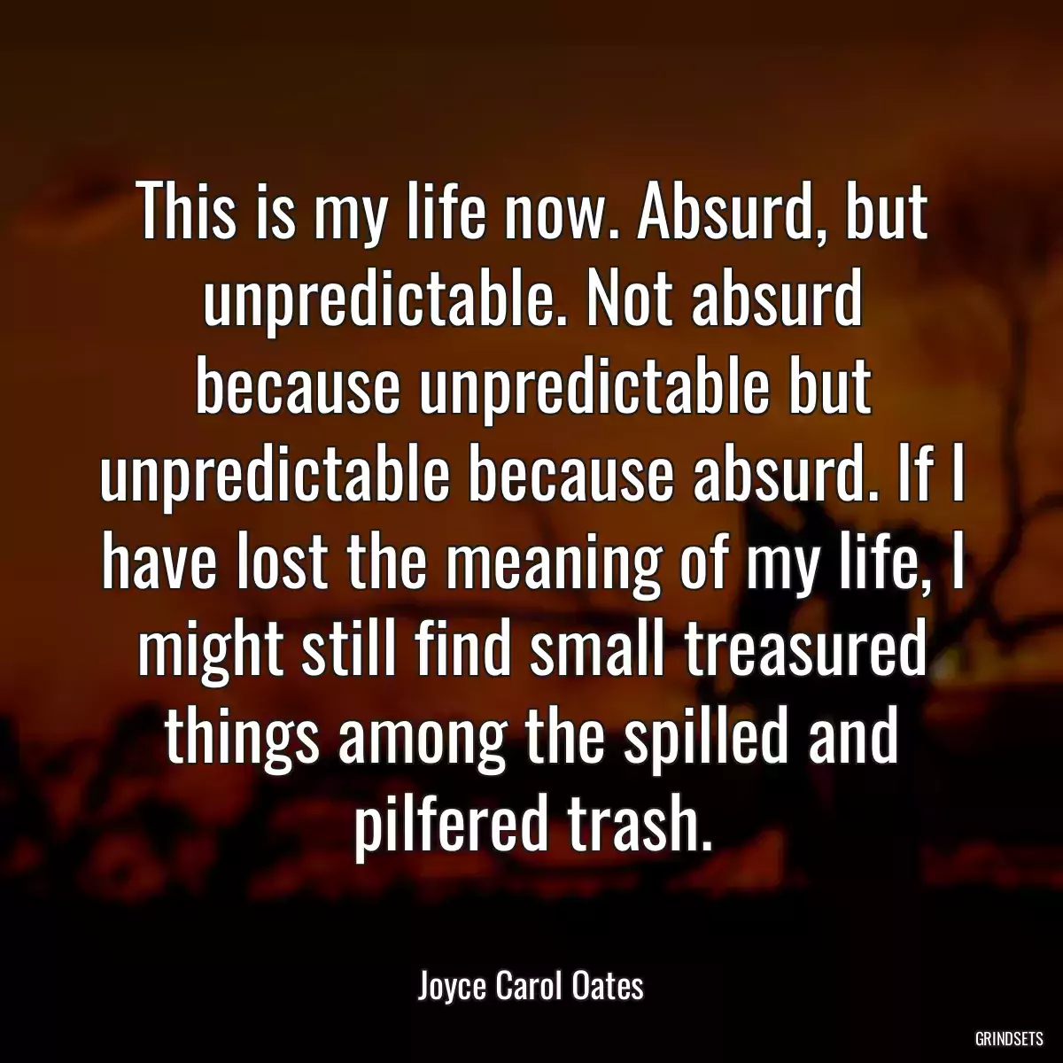 This is my life now. Absurd, but unpredictable. Not absurd because unpredictable but unpredictable because absurd. If I have lost the meaning of my life, I might still find small treasured things among the spilled and pilfered trash.