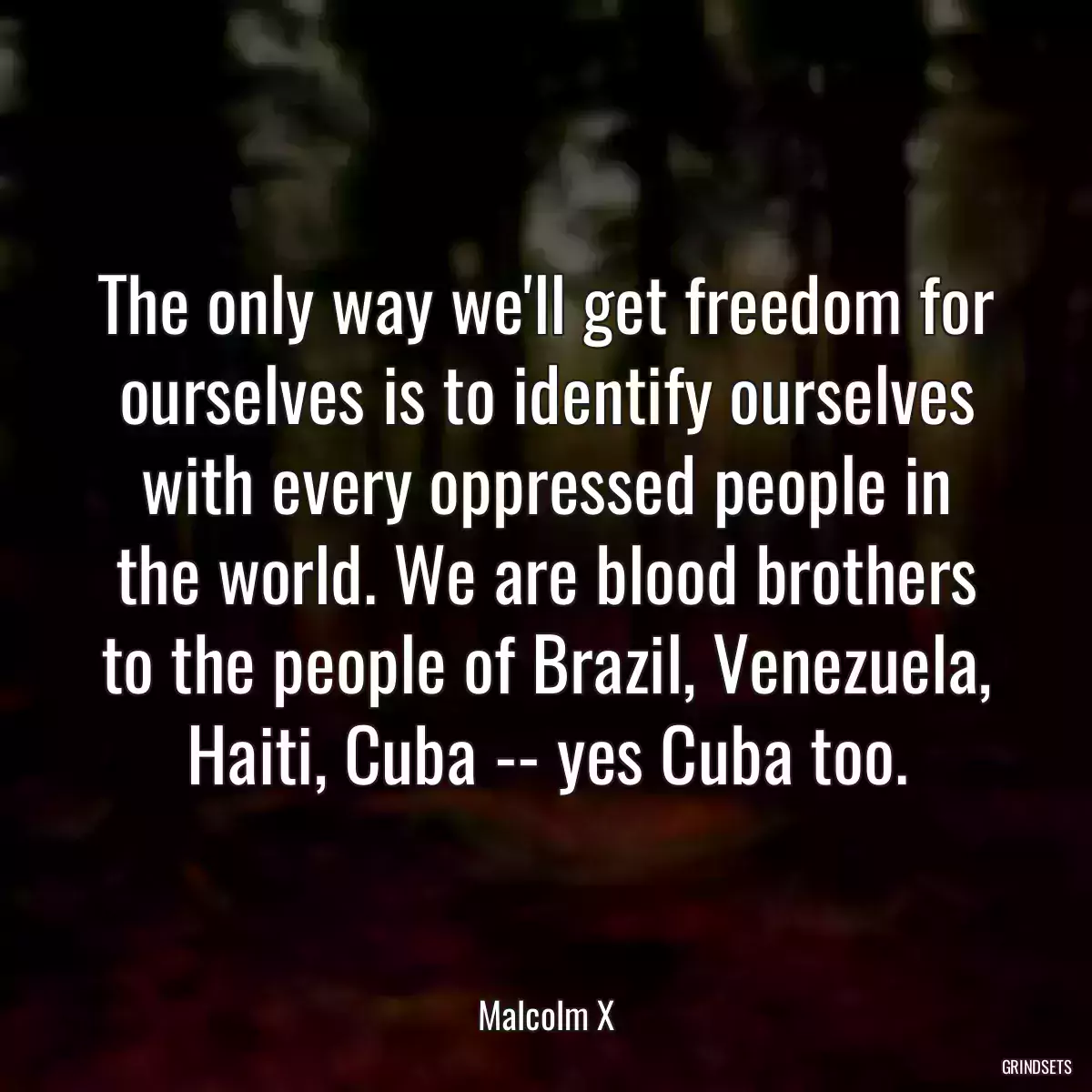 The only way we\'ll get freedom for ourselves is to identify ourselves with every oppressed people in the world. We are blood brothers to the people of Brazil, Venezuela, Haiti, Cuba -- yes Cuba too.